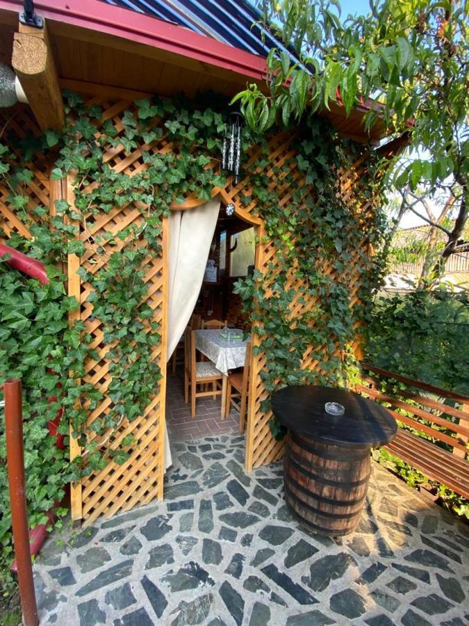 Casa Diana-Maria Apartment Curtea De Arges Exterior photo