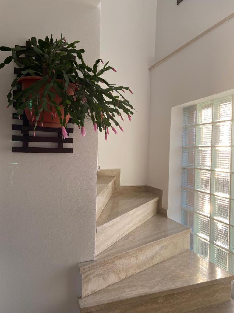 Casa Diana-Maria Apartment Curtea De Arges Exterior photo