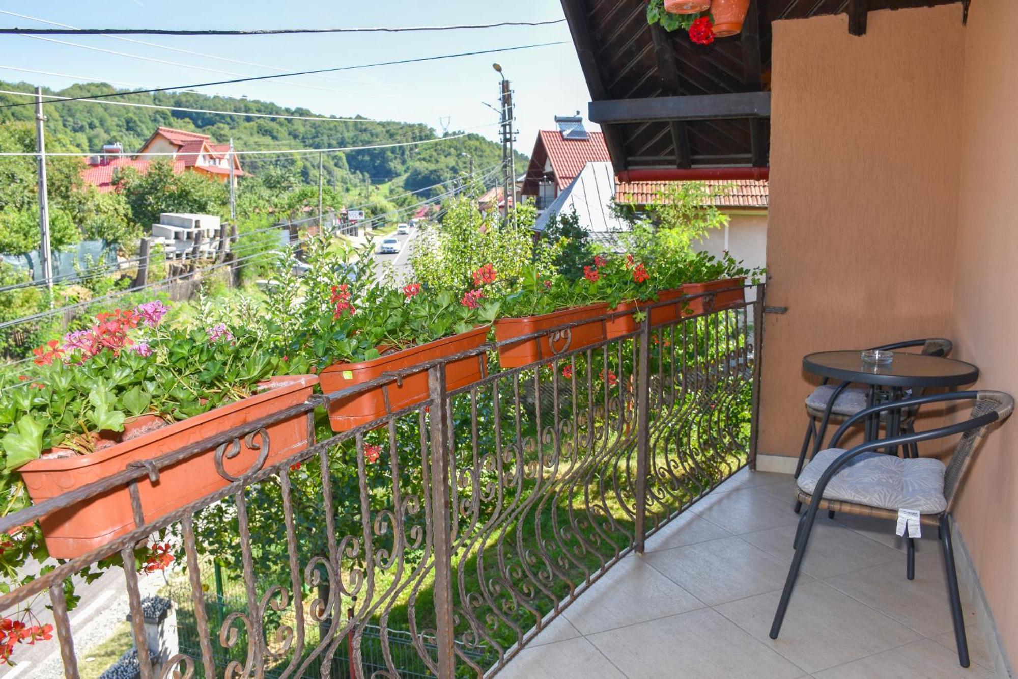 Casa Diana-Maria Apartment Curtea De Arges Exterior photo